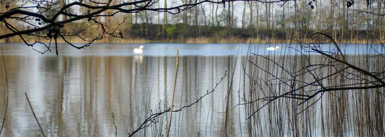 Midden in de natuur