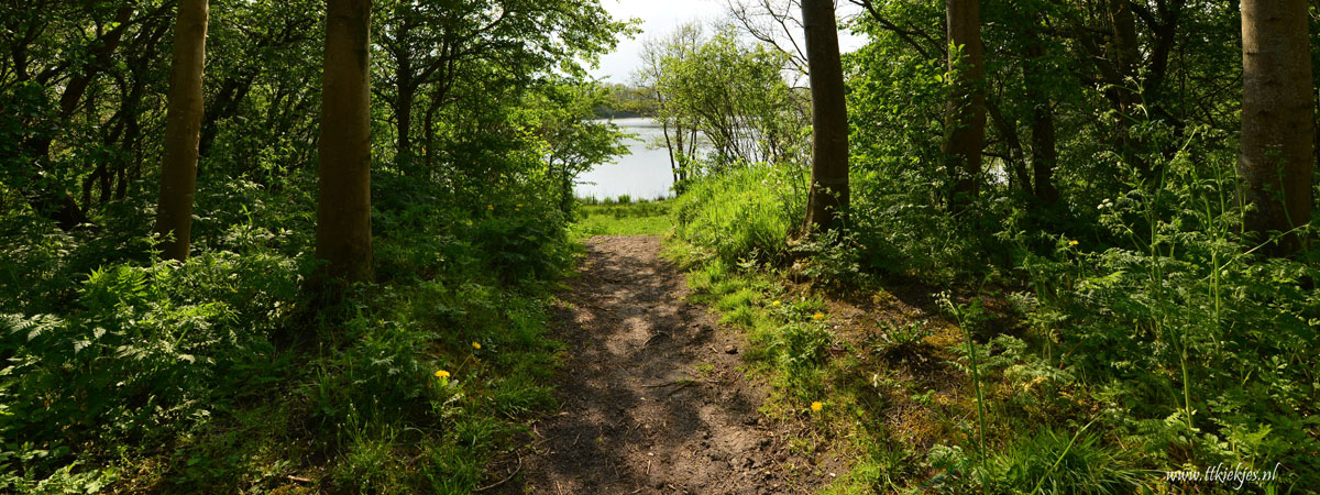 Heerlijk wandelen in de natuur